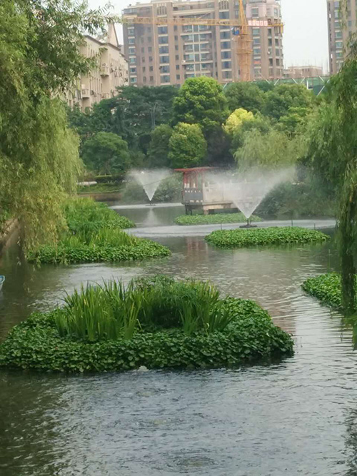 沉水式鼓樱桃视频APP官网-河道治理