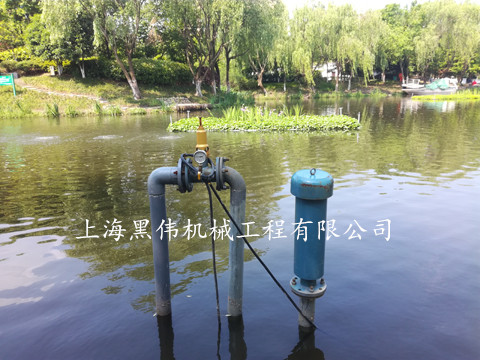 河道治理沉水式鼓樱桃视频APP官网 河道治理沉水式鼓樱桃视频APP官网
