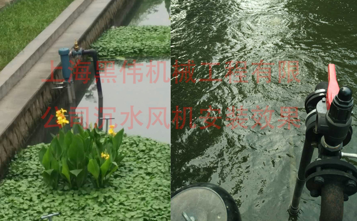 沉水樱桃视频APP官网效果