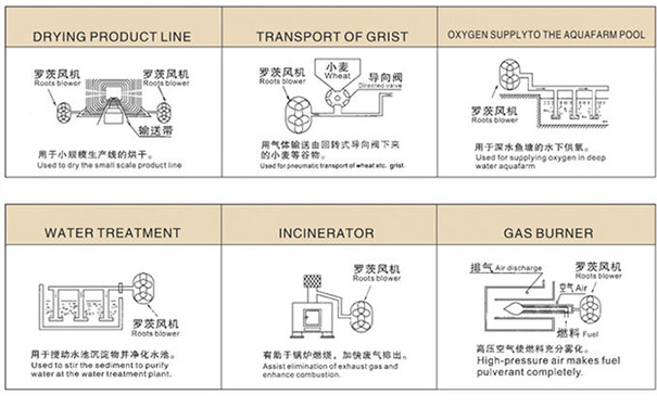 罗茨鼓樱桃视频APP官网在中央供料系统中重要吗? 罗茨鼓樱桃视频APP官网在中央供料系统中重要吗?