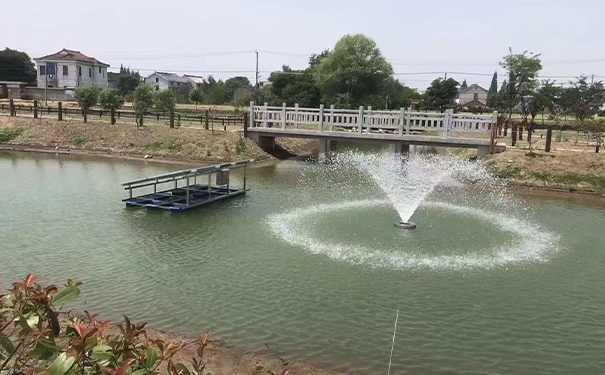 沉水樱桃视频APP官网在水质净化过程中主要起到哪些作用